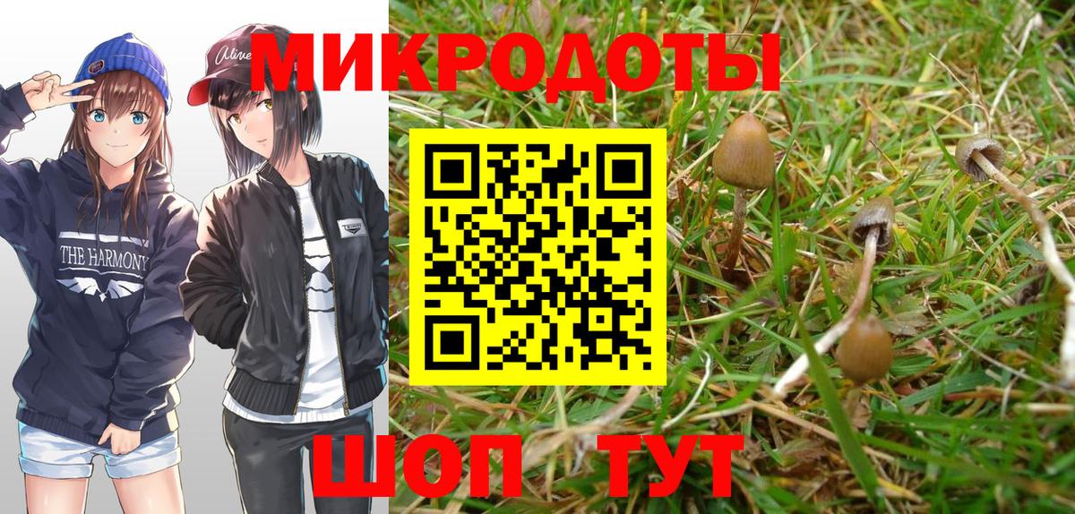 Псилоцибиновые грибы ЛСД  Псилоцибиновые грибы Magic Shrooms  Вход с VPN  Тара 