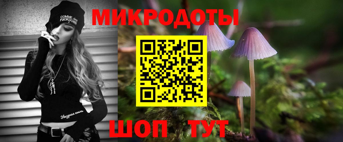 Псилоцибиновые грибы Psilocybine cubensis Тара