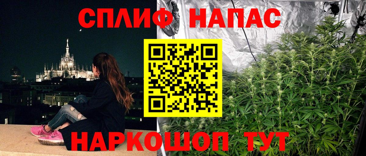 Канабис конопля Тара